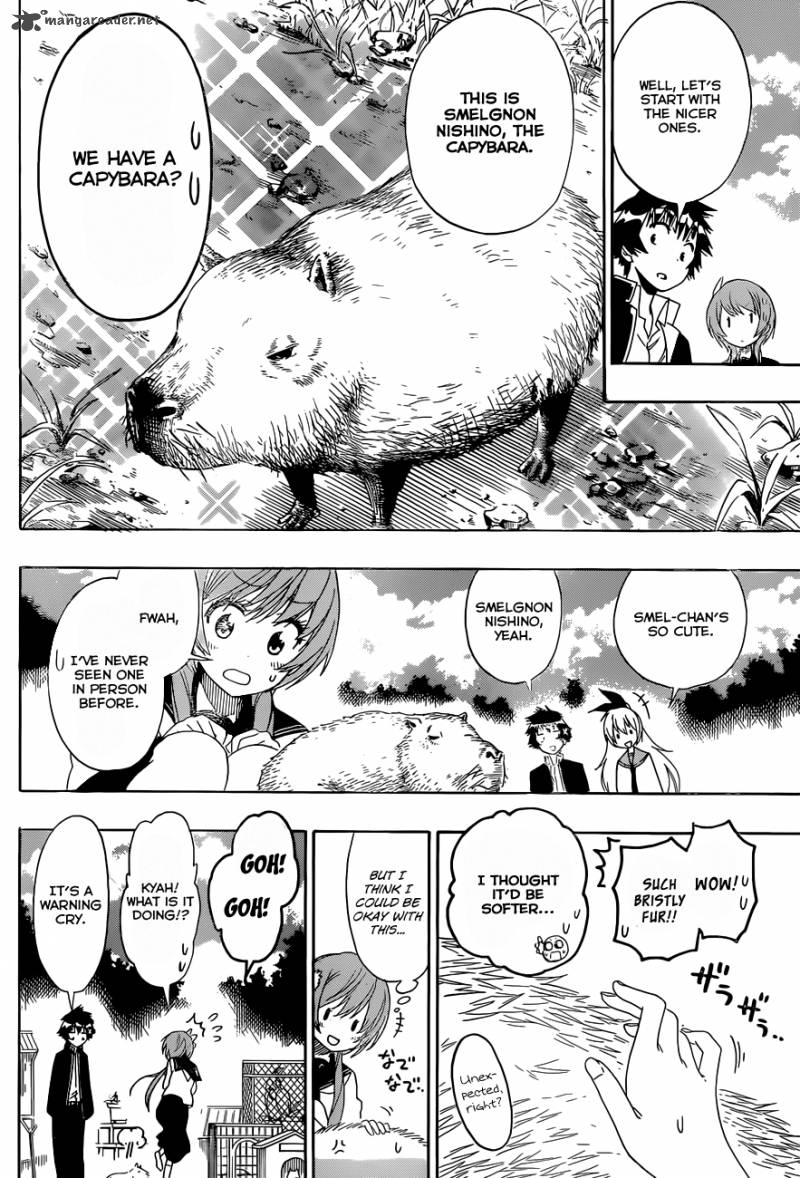 Nisekoi 142 7