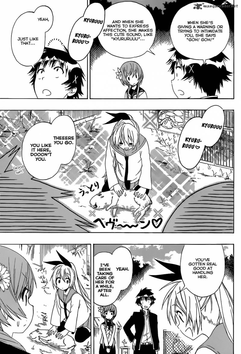 Nisekoi 142 8