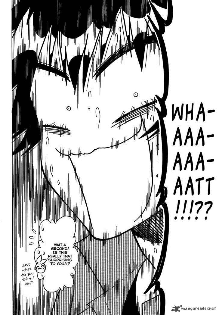 Nisekoi 175 2