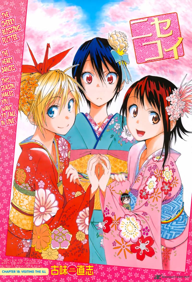 Nisekoi 19 1
