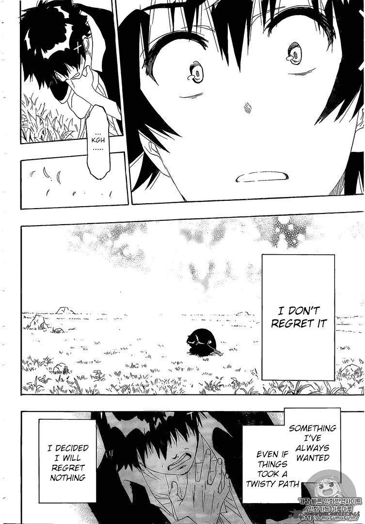 Nisekoi 226 17