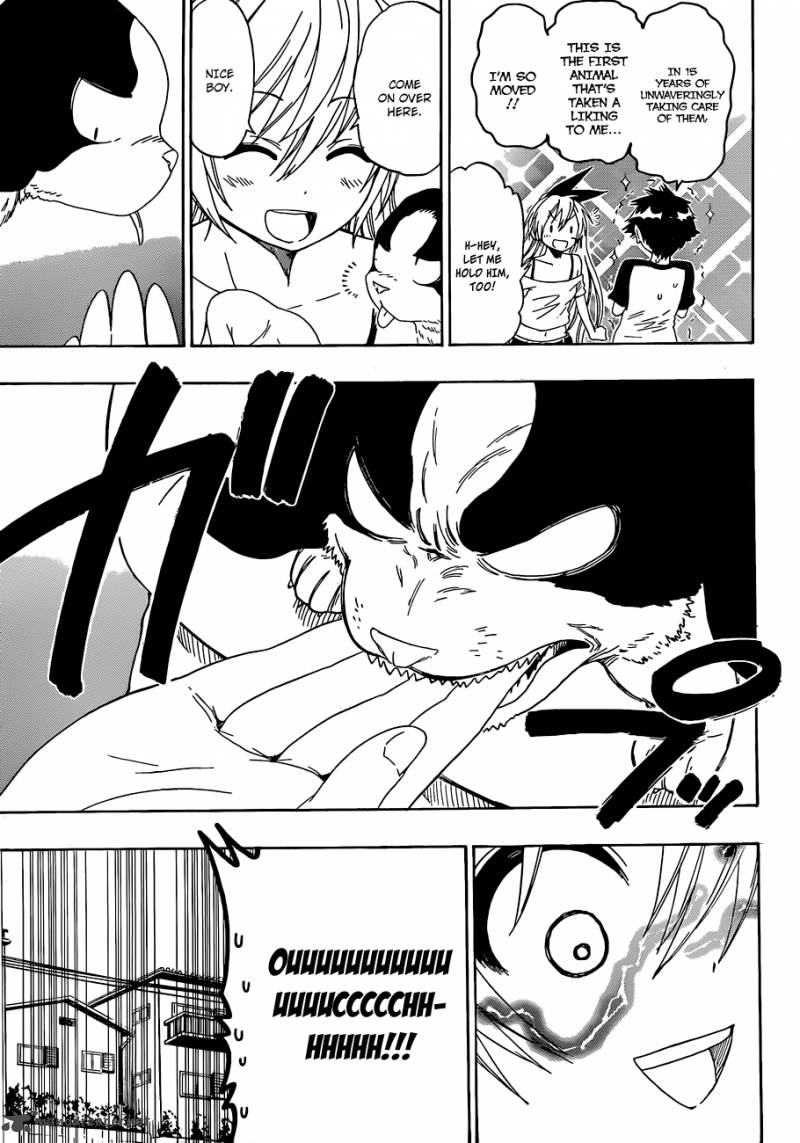 Nisekoi 41 6
