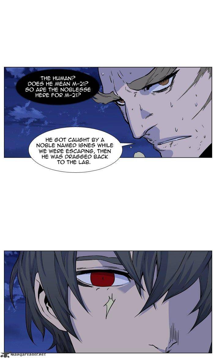 Noblesse 429 40