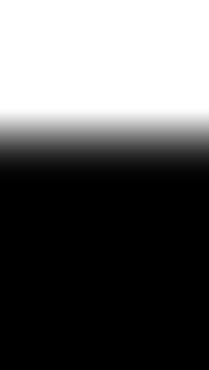 Noblesse 437 5