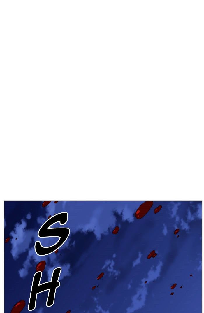 Noblesse 445 60