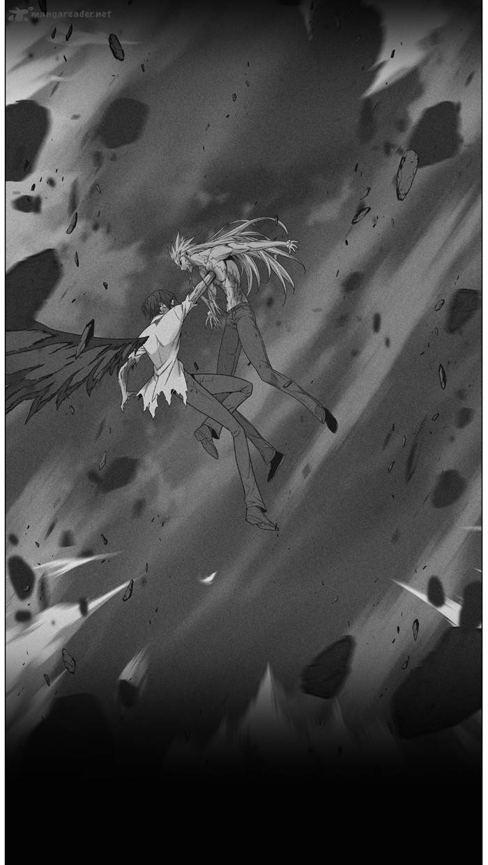 Noblesse 484 36