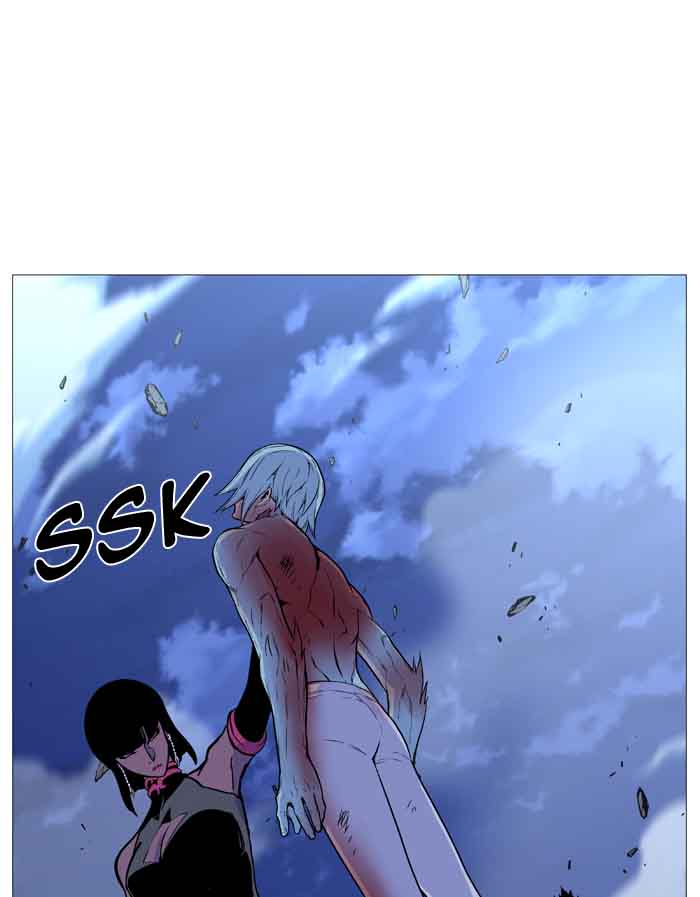 Noblesse 489 72
