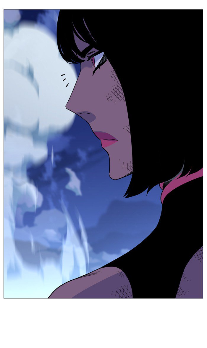 Noblesse 503 40