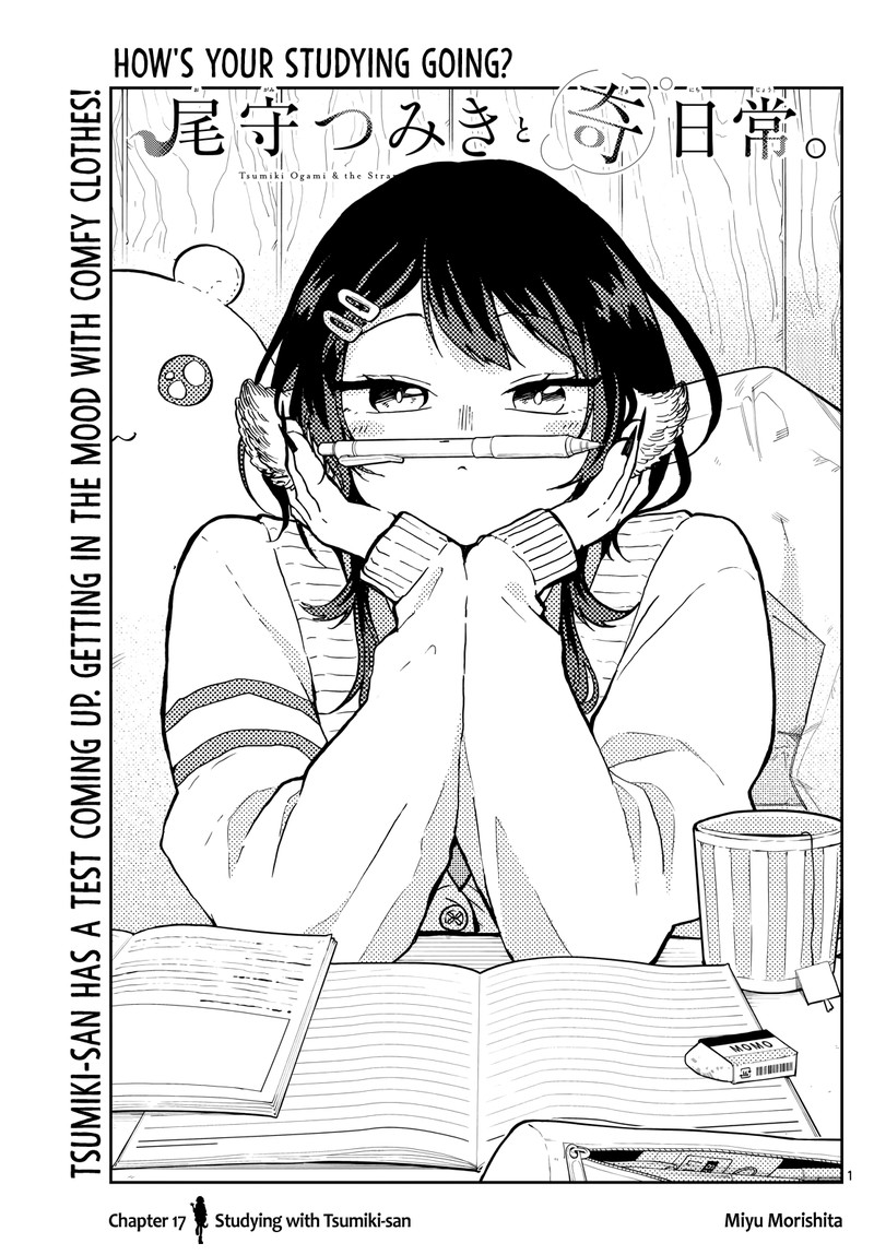 Ogami Tsumiki To Kinichijou 17 1