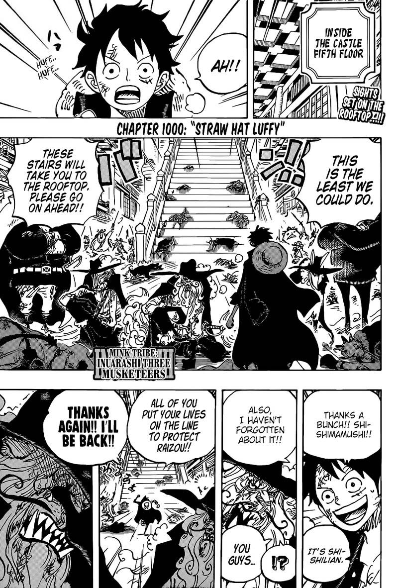 One Piece 1000 1