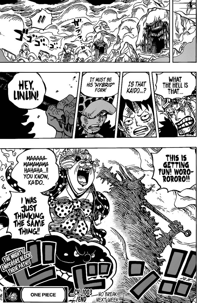 One Piece 1003 13