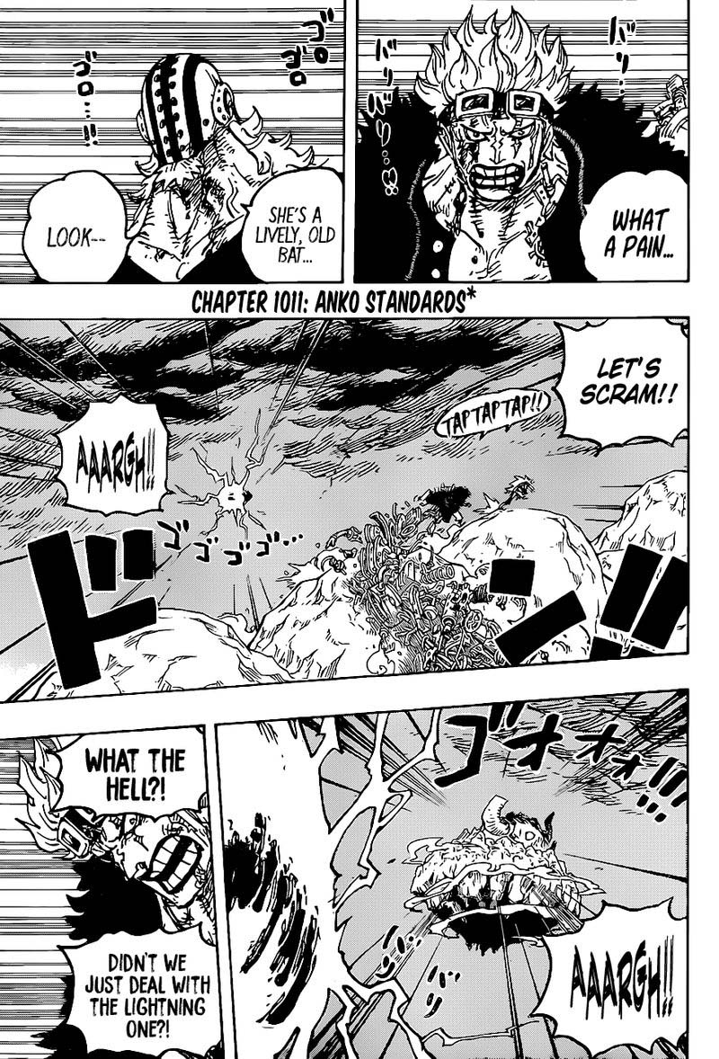 One Piece 1011 3