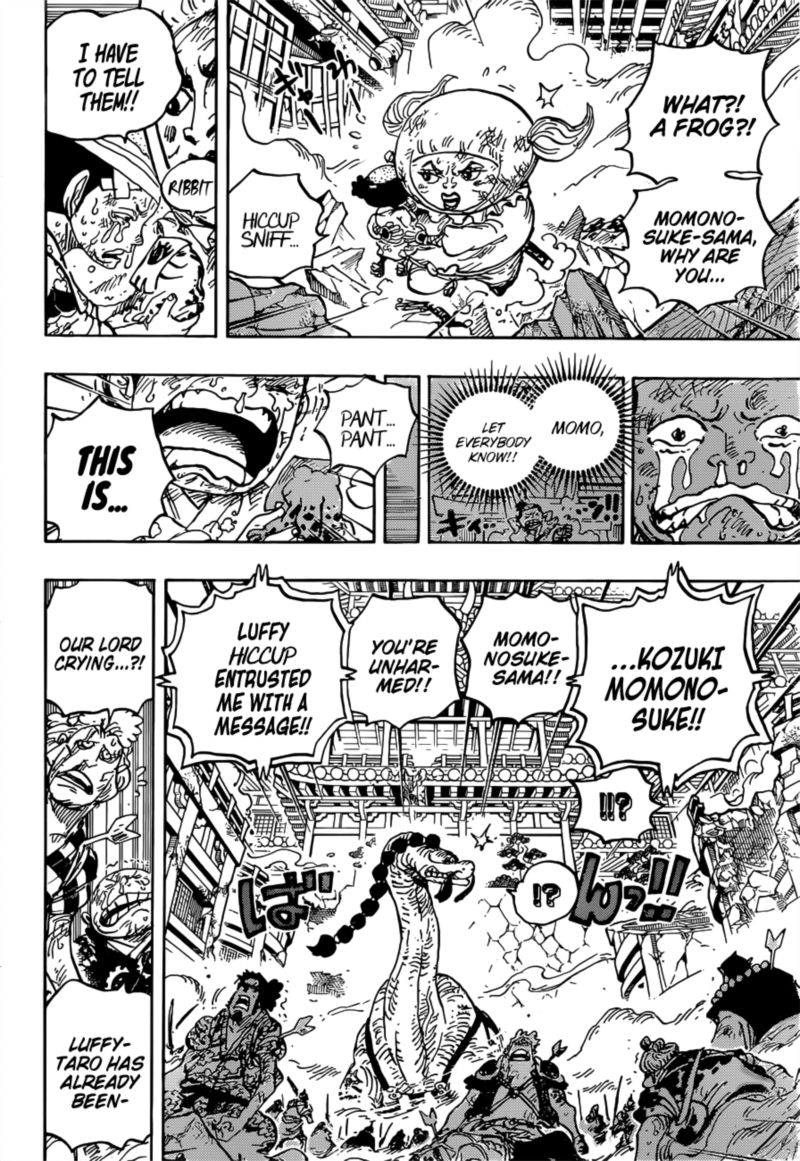 One Piece 1015 11