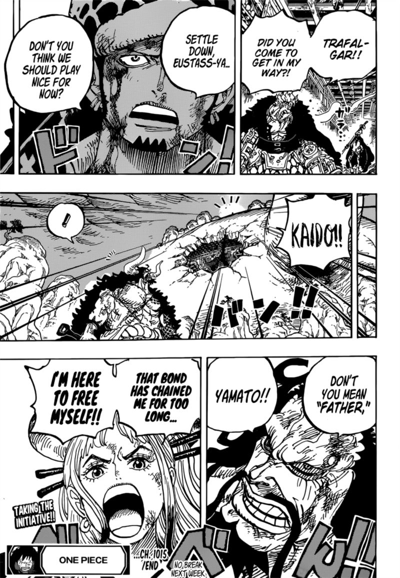 One Piece 1015 15