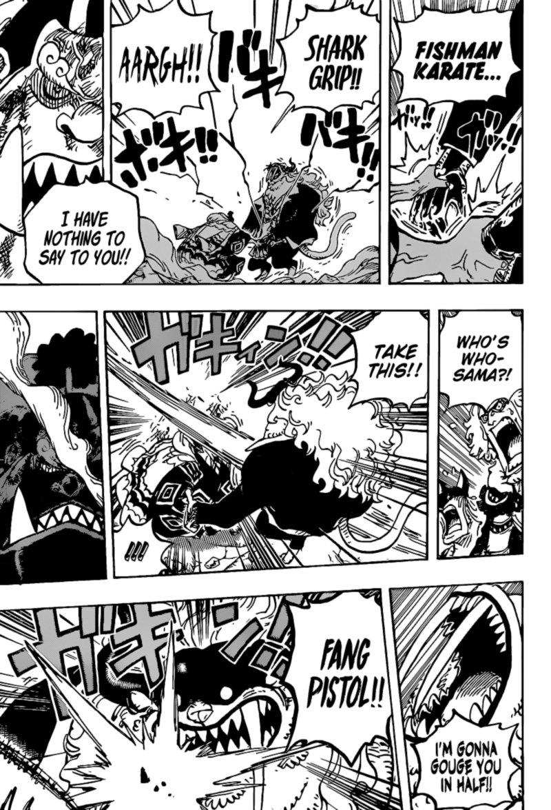 One Piece 1018 15