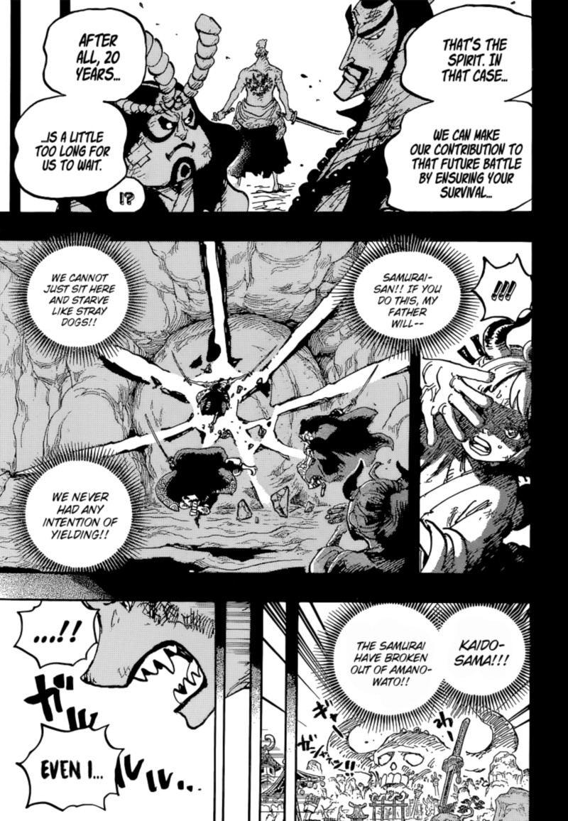 One Piece 1024 17
