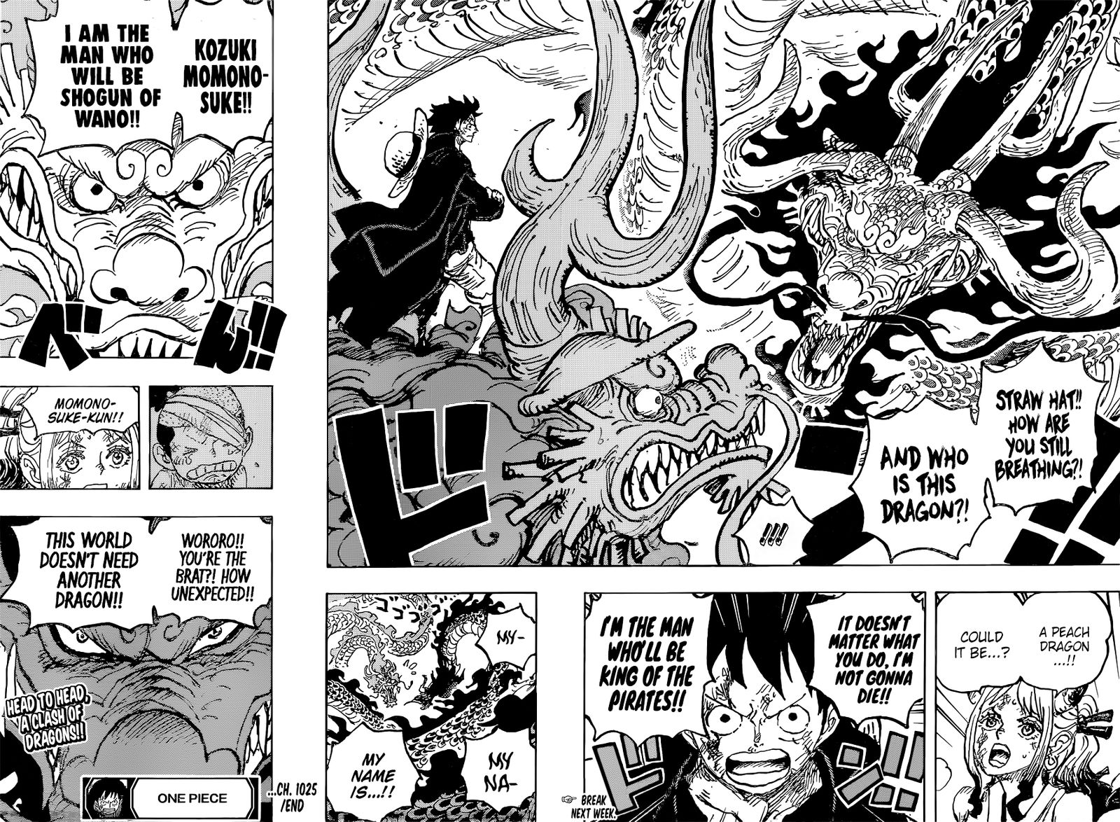 One Piece 1025 15