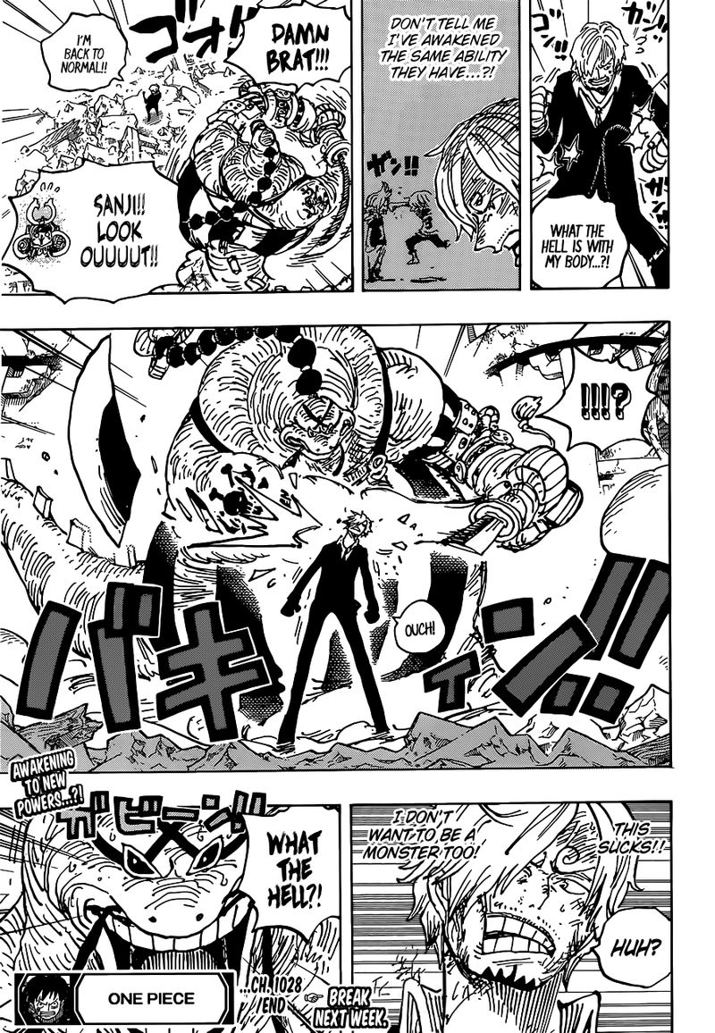 One Piece 1028 17