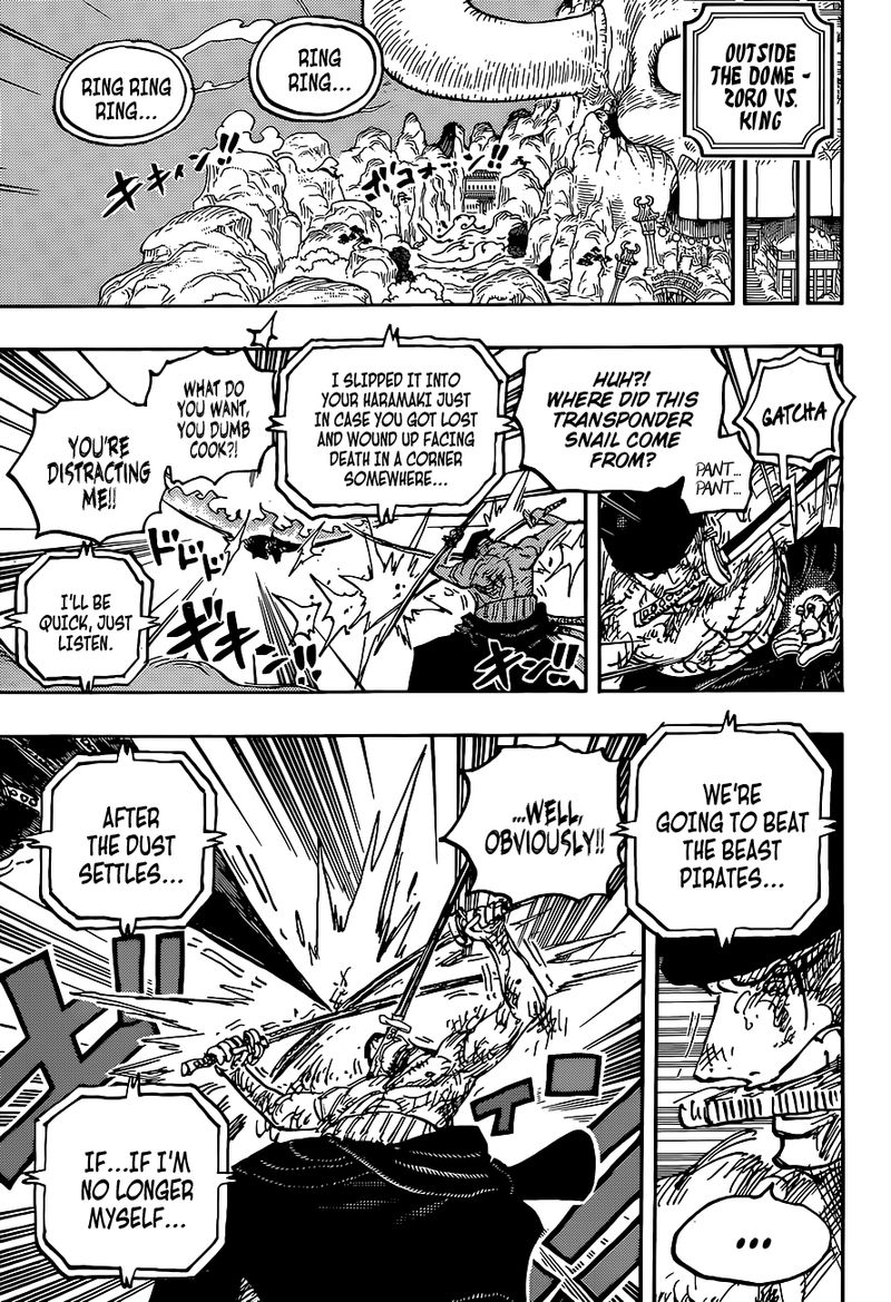 One Piece 1031 16