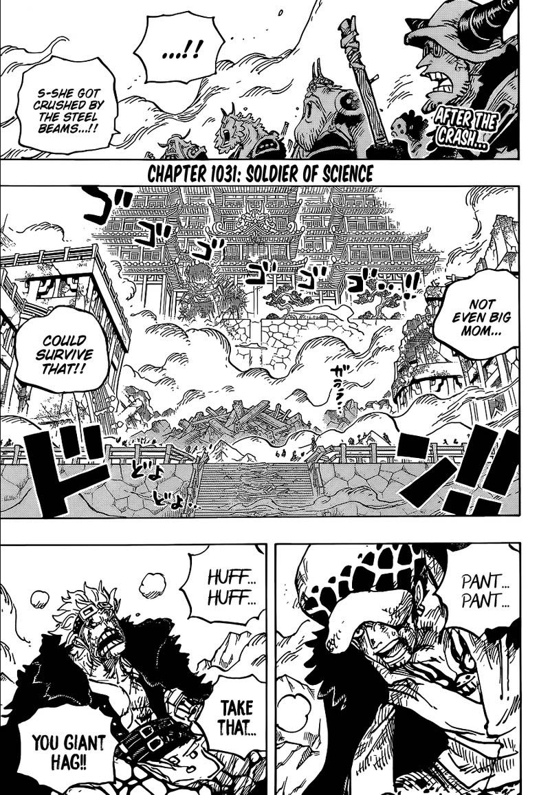 One Piece 1031 3