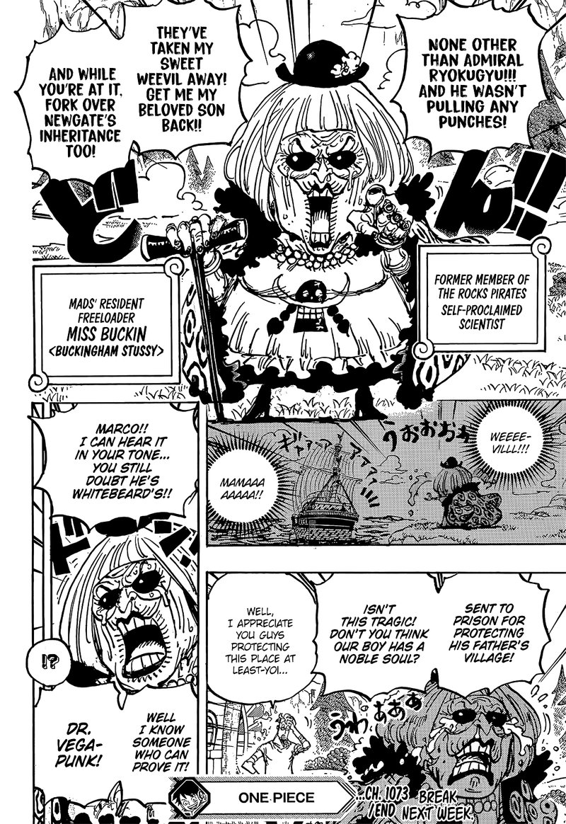 One Piece 1073 14