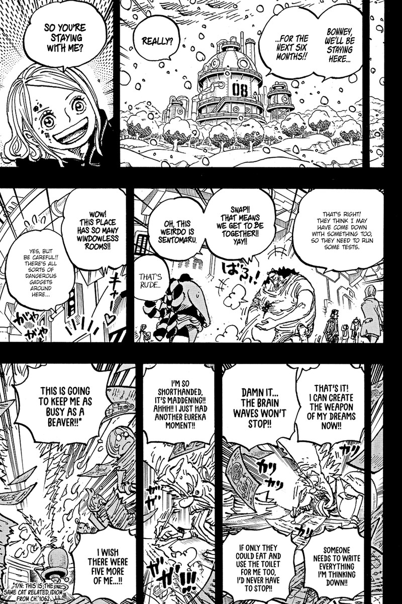 One Piece 1100 9