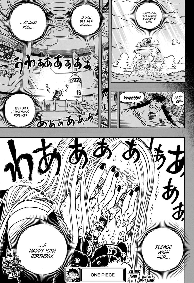 One Piece 1102 18