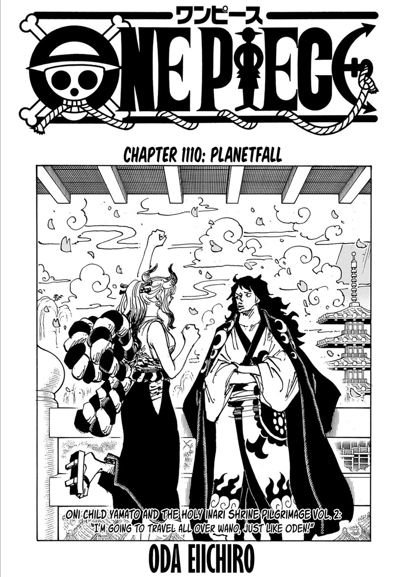 One Piece 1110 1