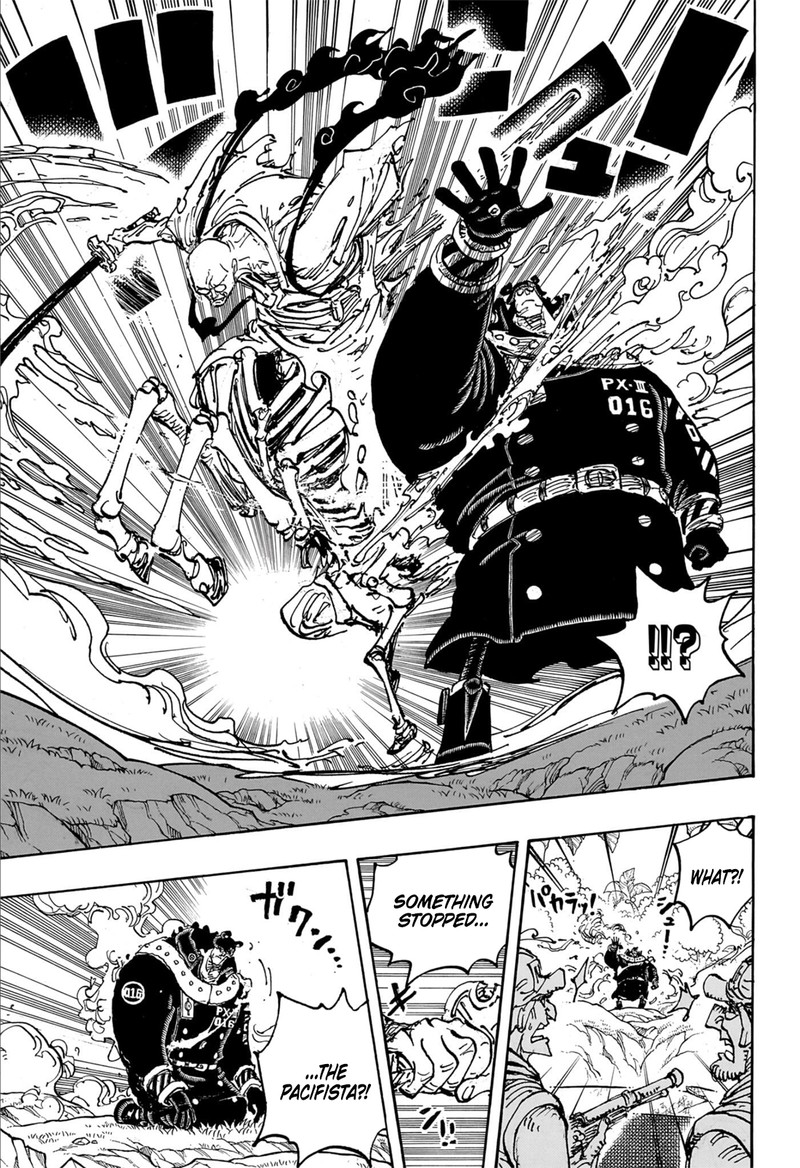 One Piece 1110 7