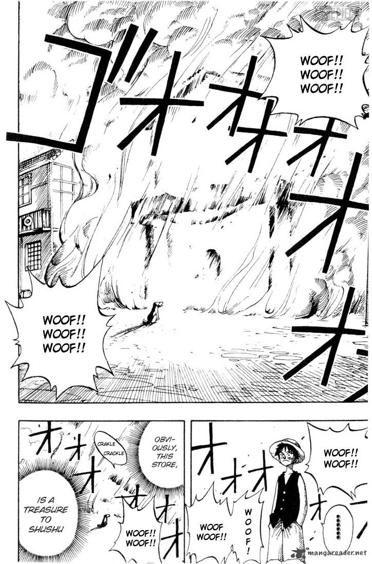 One Piece 13 8