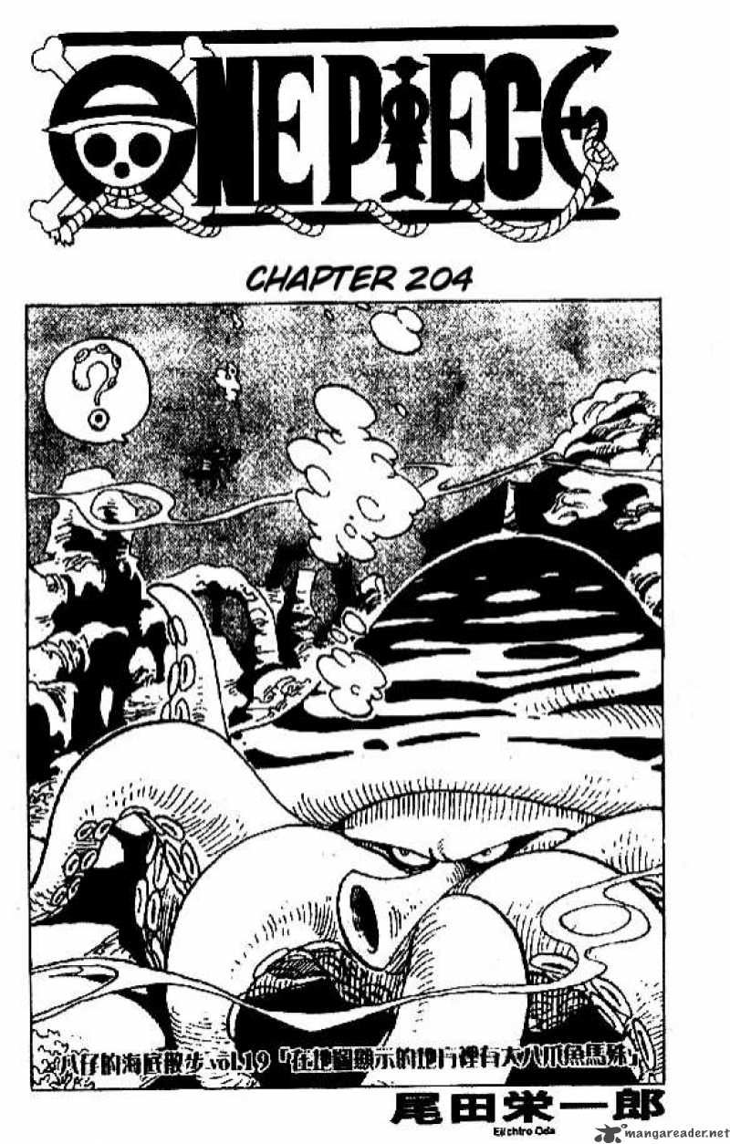 One Piece 204 1