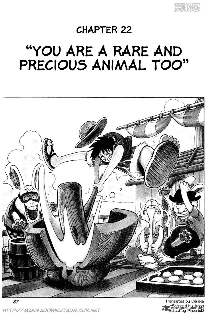 One Piece 22 1