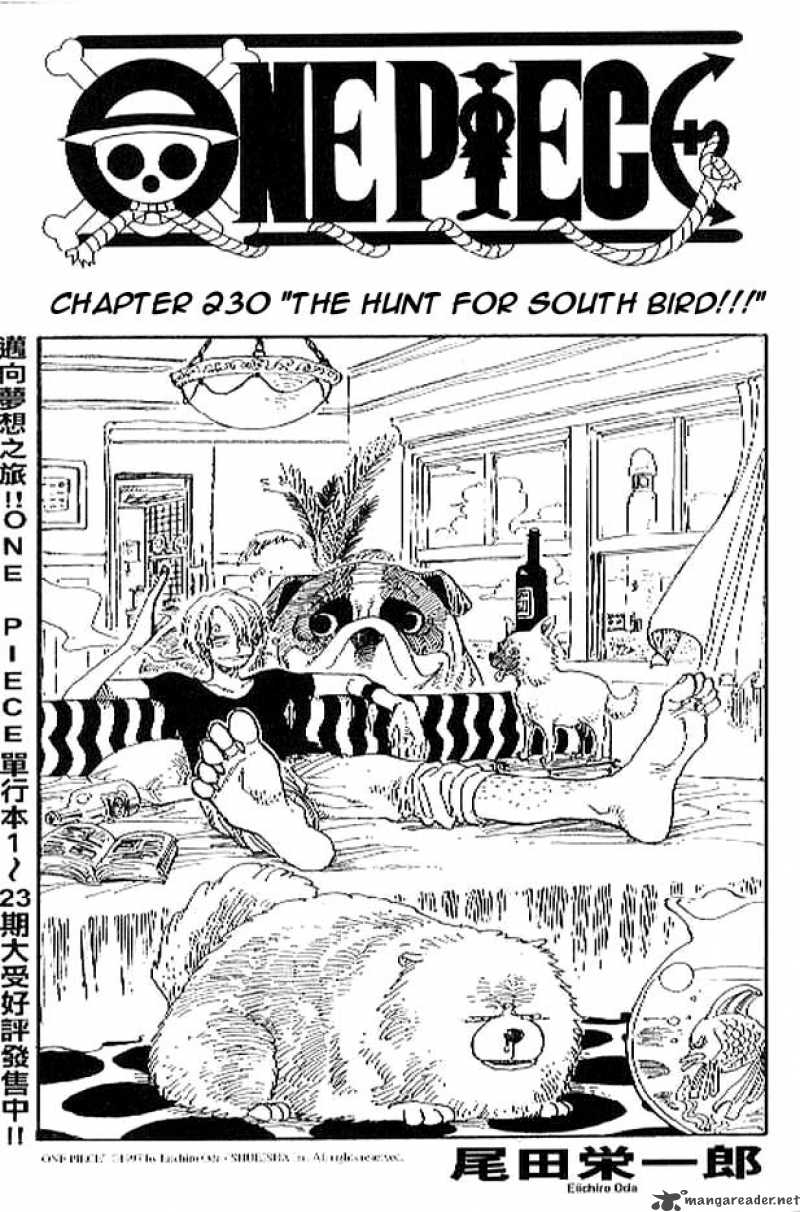 One Piece 230 1