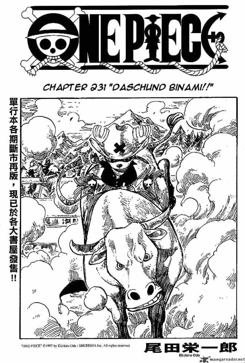 One Piece 231 1