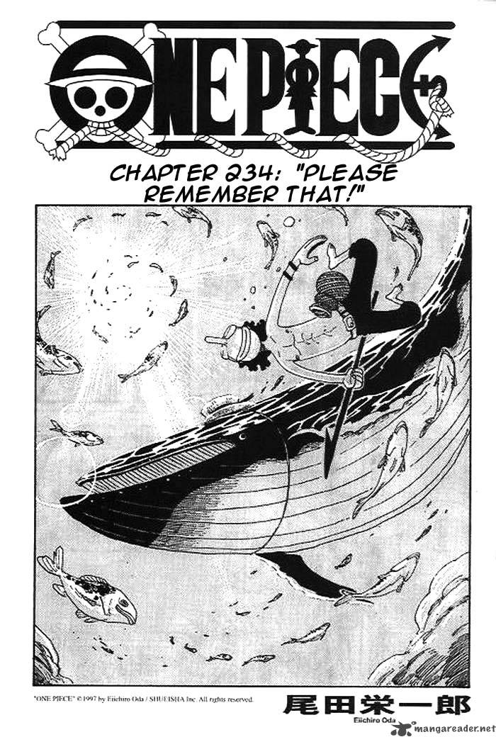 One Piece 234 1