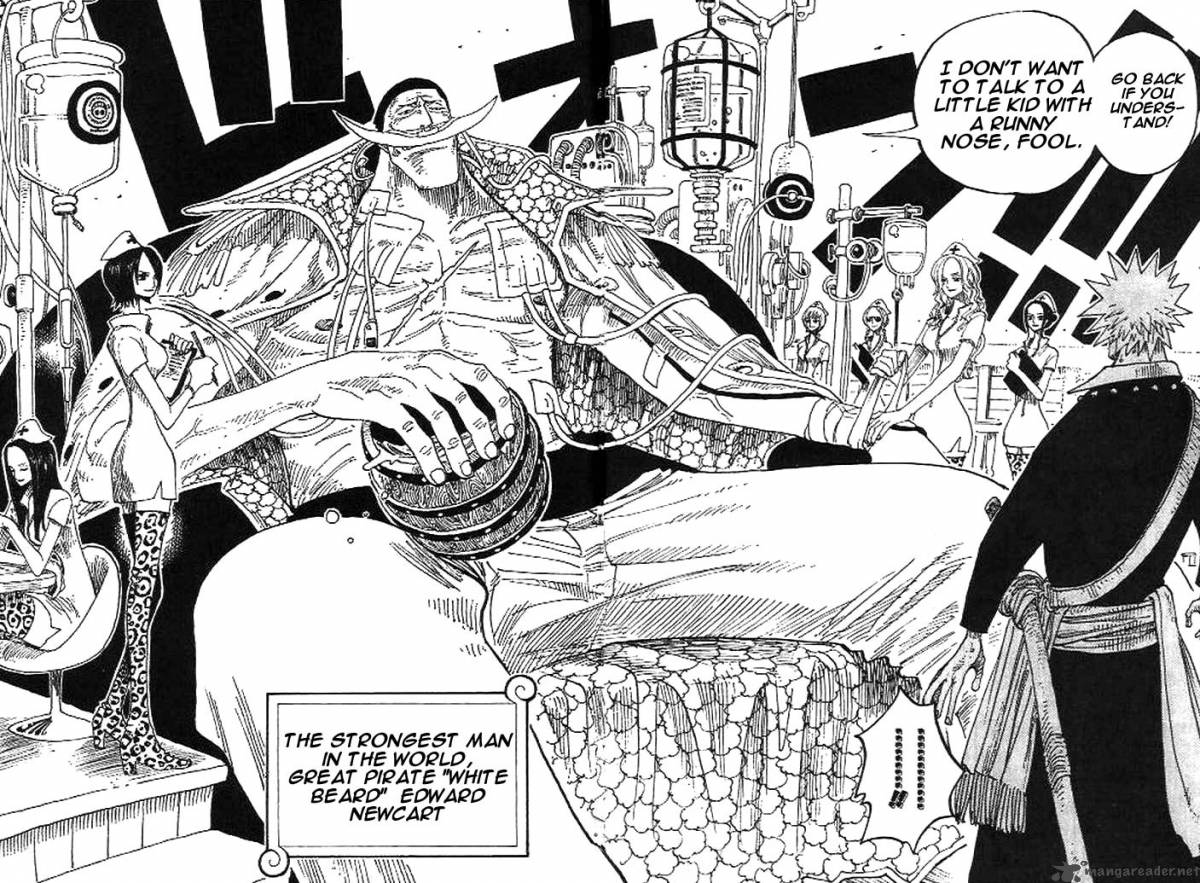 One Piece 234 12