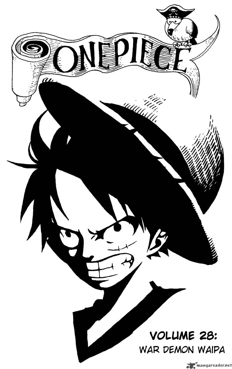 One Piece 256 8