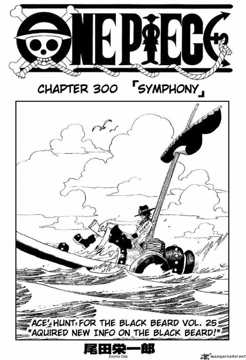 One Piece 300 1