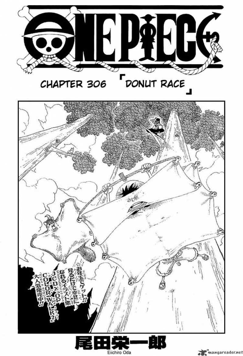 One Piece 306 1