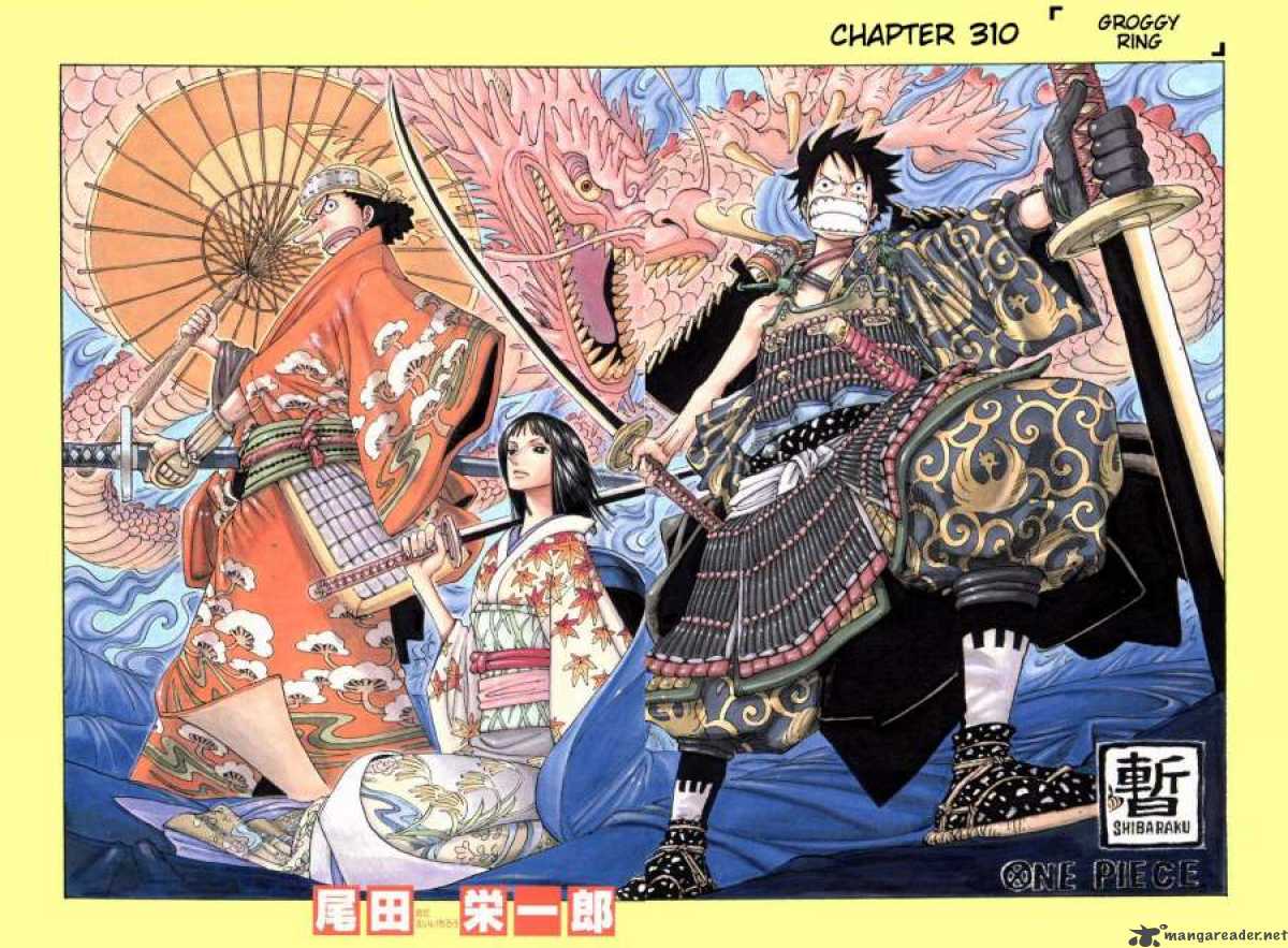 One Piece 310 1