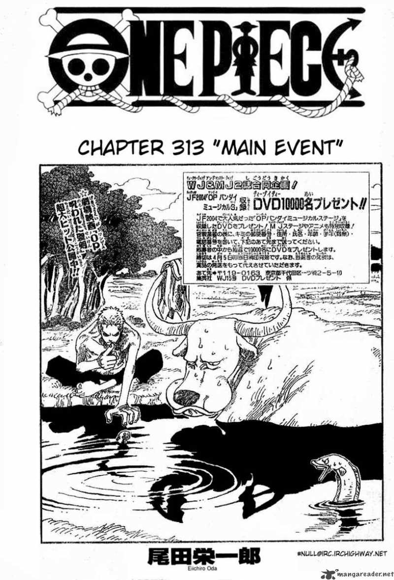 One Piece 313 1