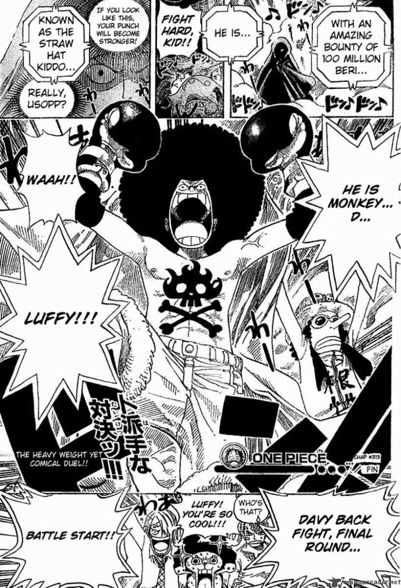 One Piece 313 19