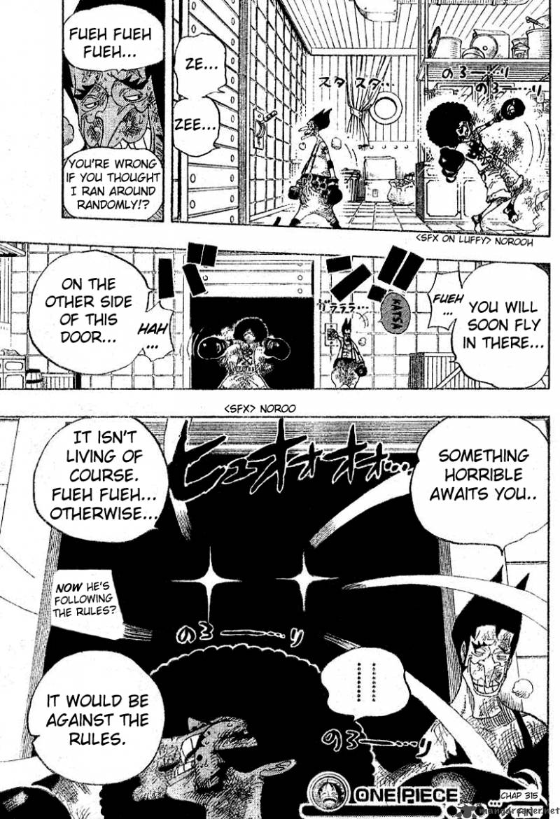 One Piece 315 19