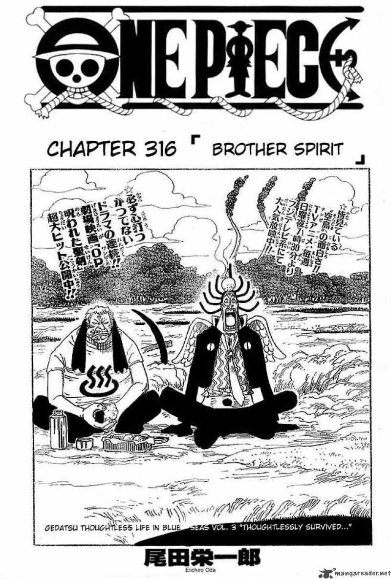 One Piece 316 1