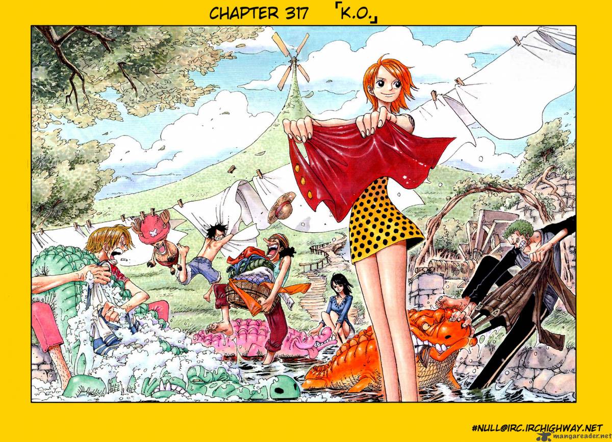 One Piece 317 1