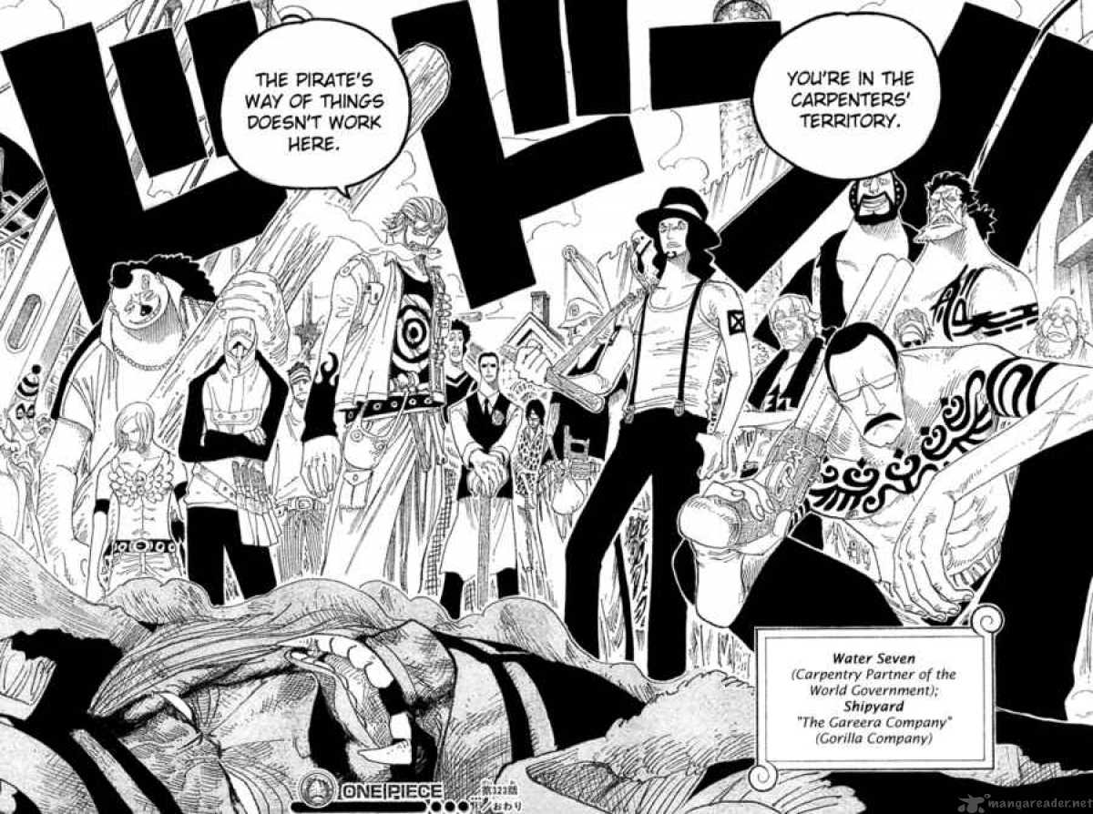 One Piece 323 17