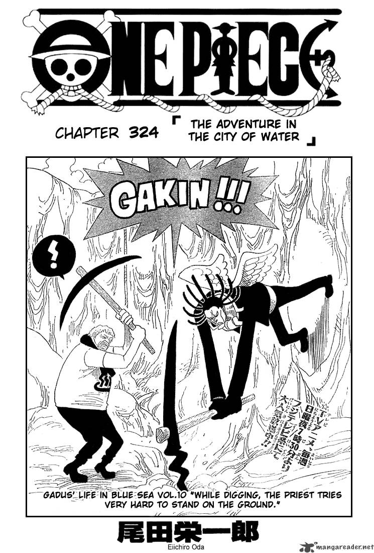 One Piece 324 1