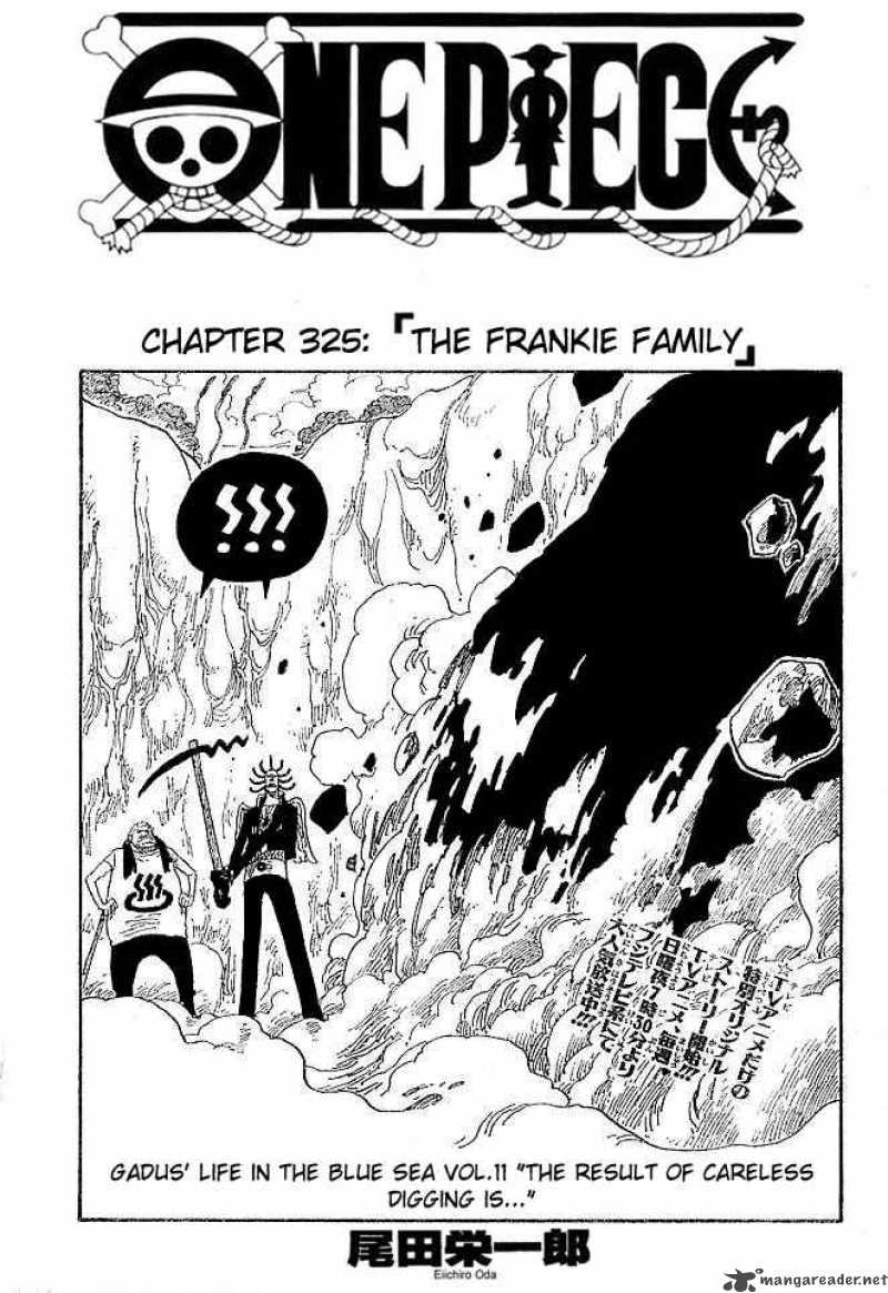 One Piece 325 1