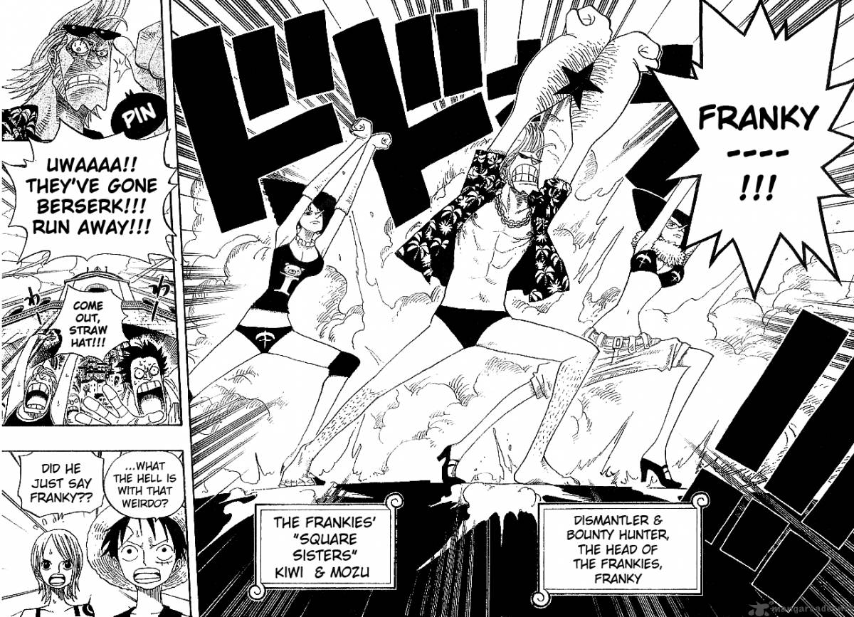 One Piece 335 14