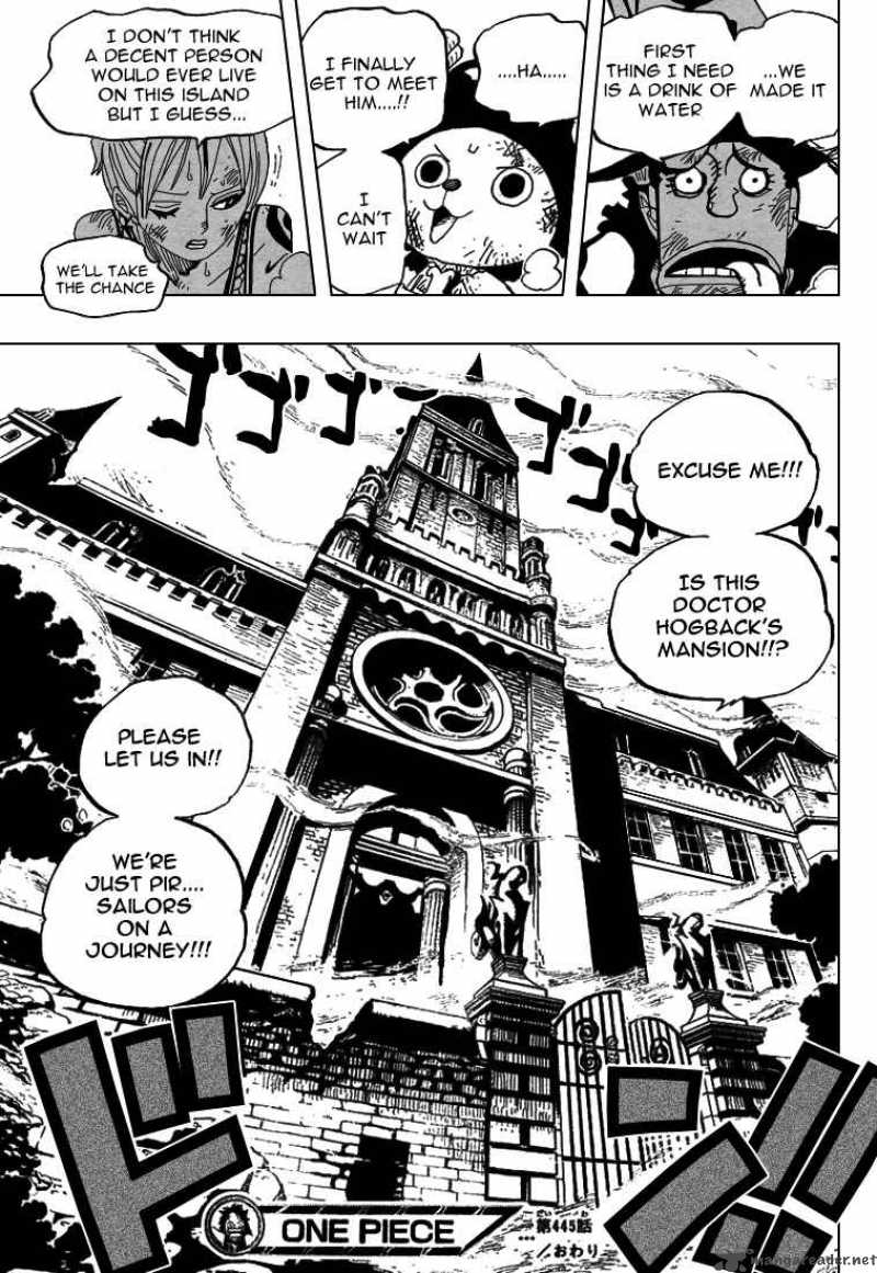 One Piece 445 18